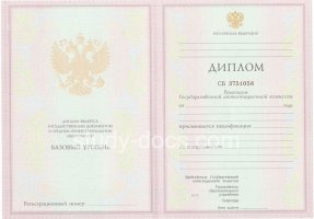 Диплом колледжа 2003-2006 в Курске