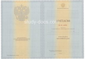 Диплом специалиста 2012-2013 в Курске
